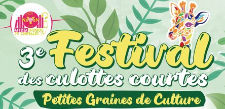 bandeau affiche festival